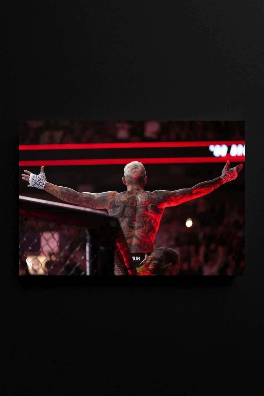 Rise of the Champion – Oliveira