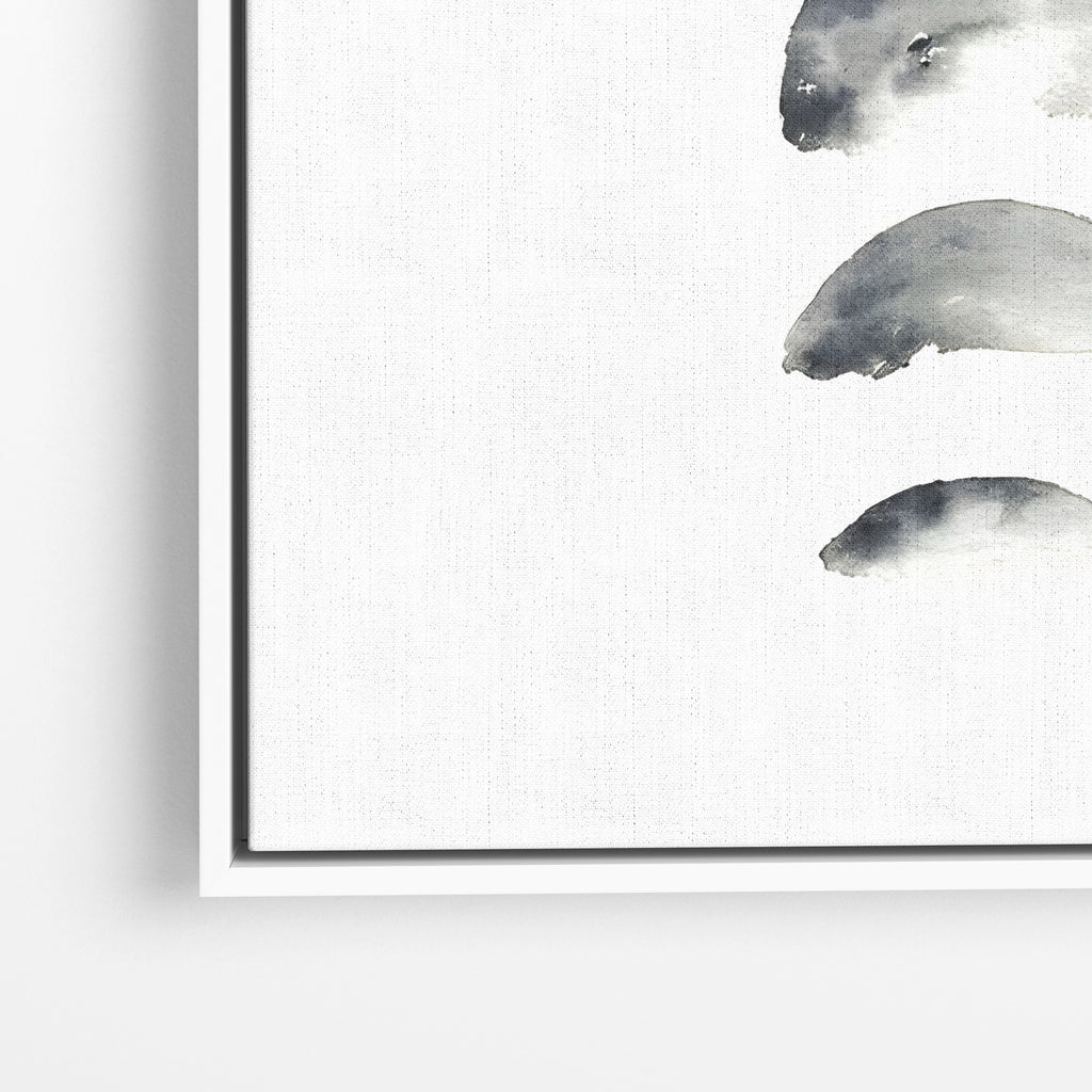 Moon Phases