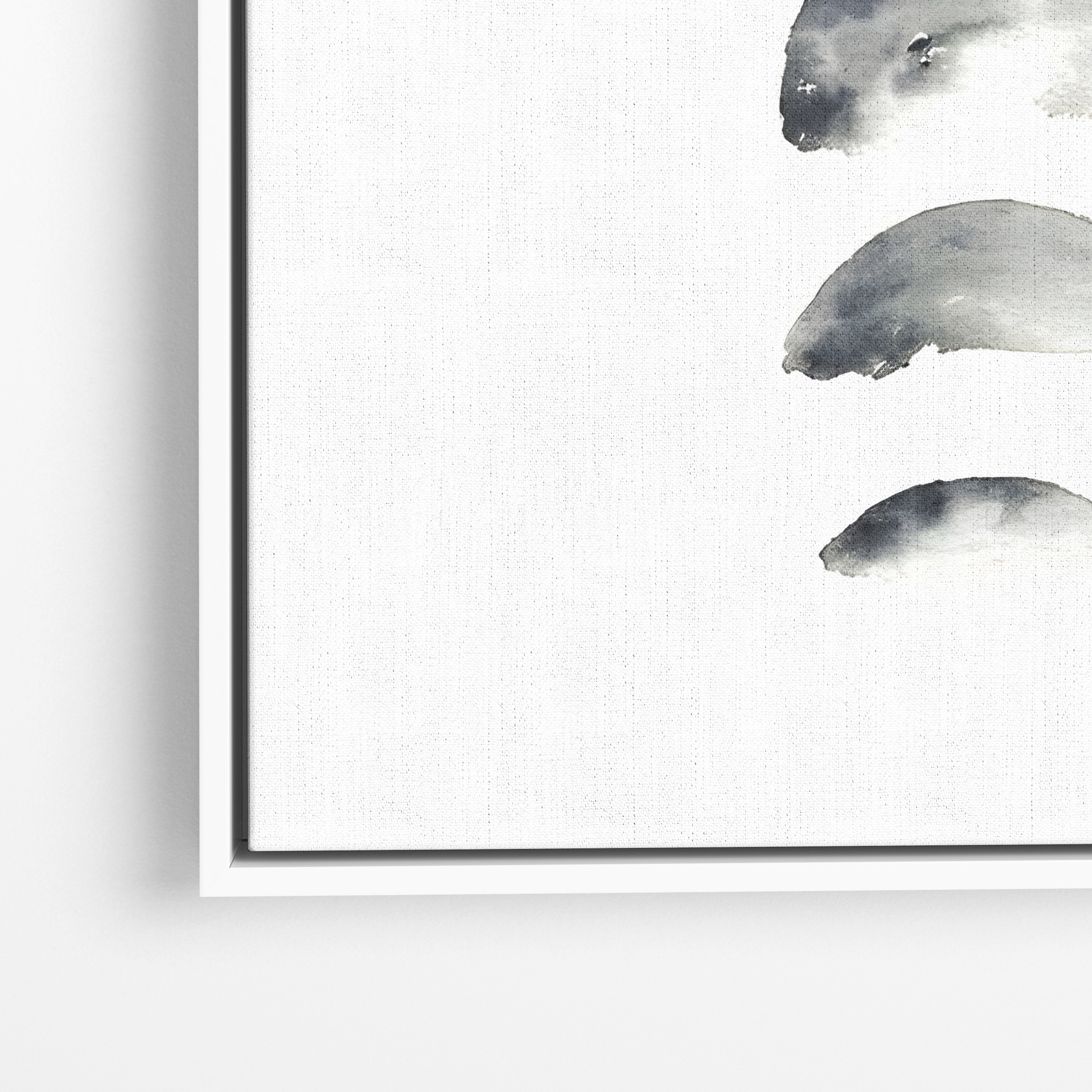 Moon Phases