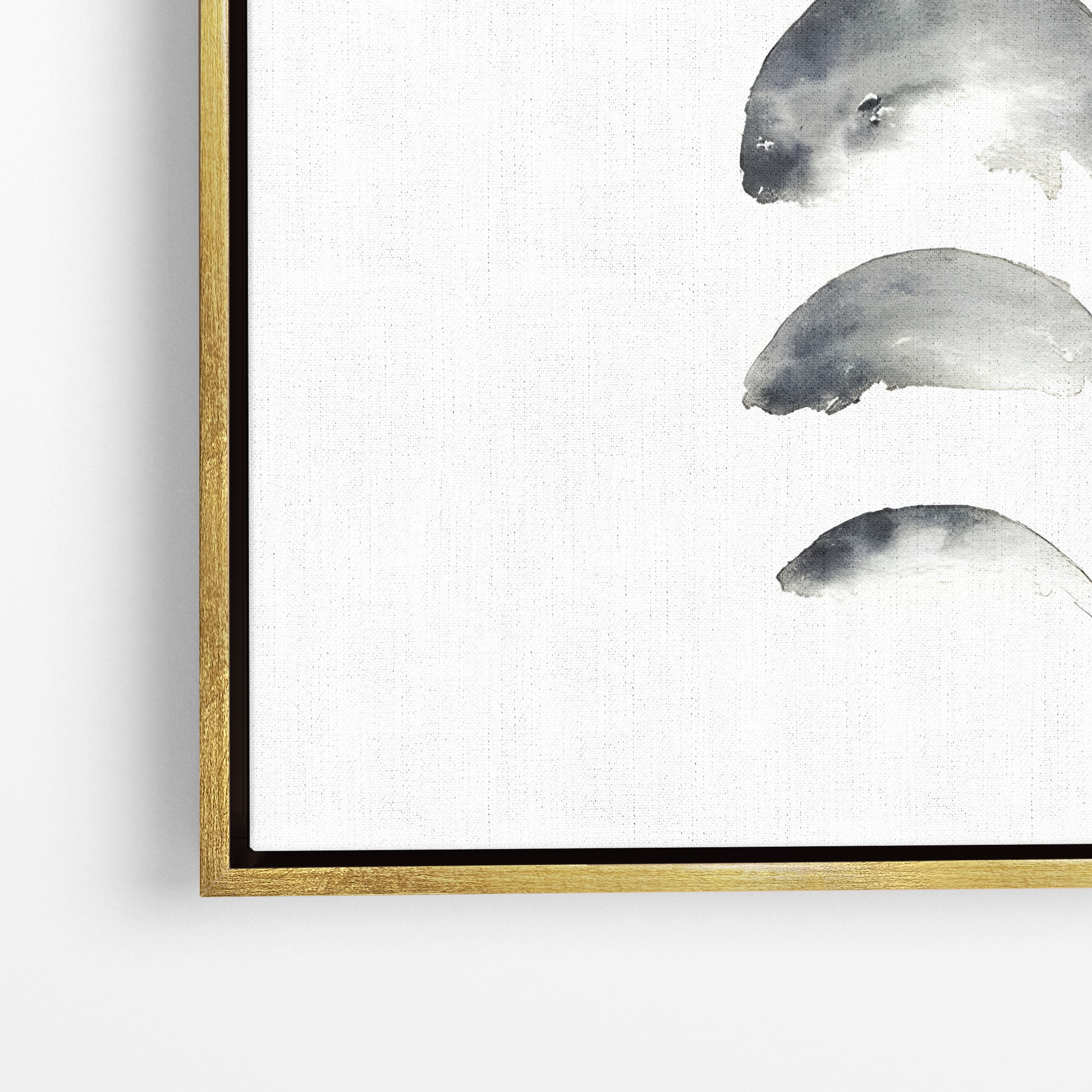 Moon Phases