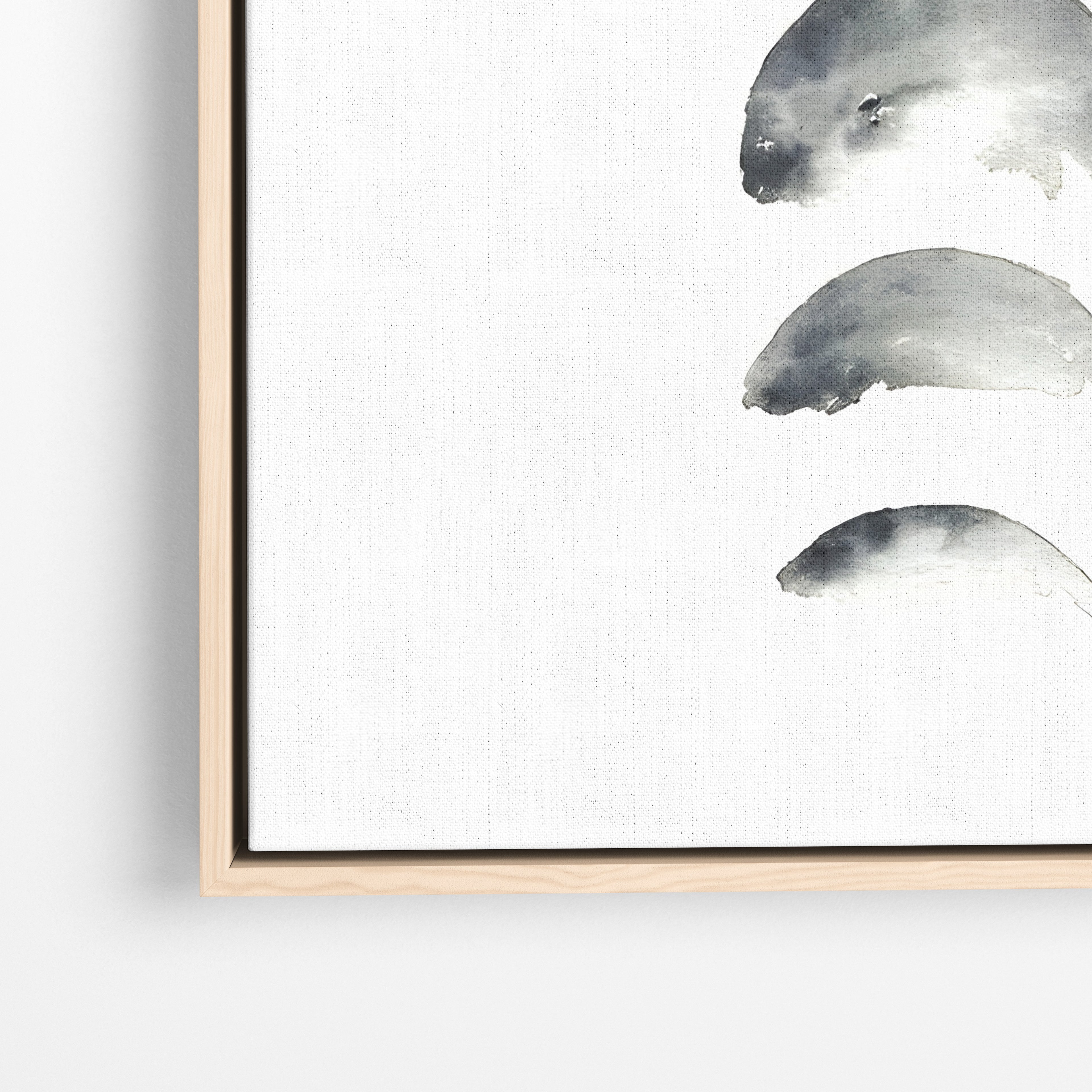 Moon Phases