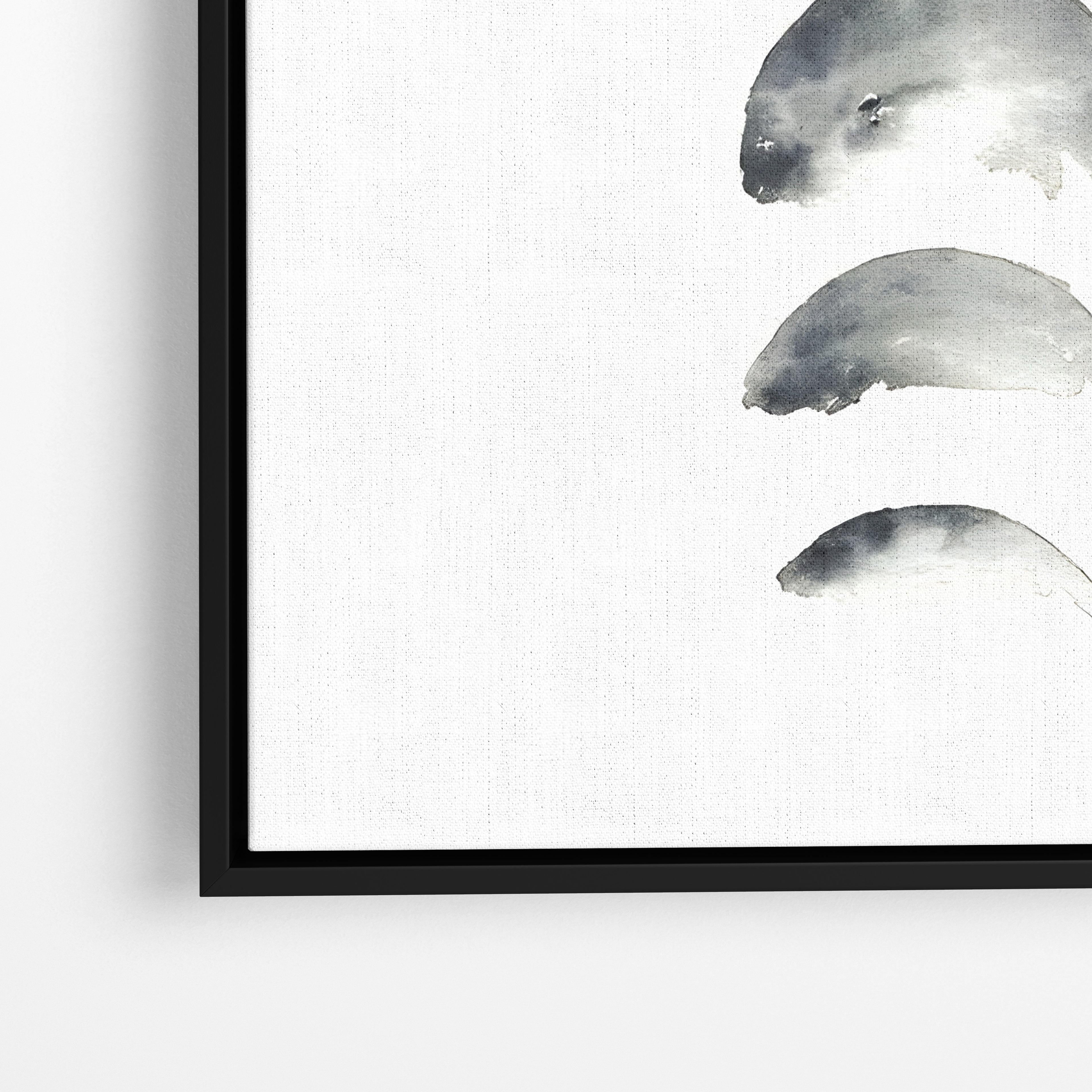 Moon Phases