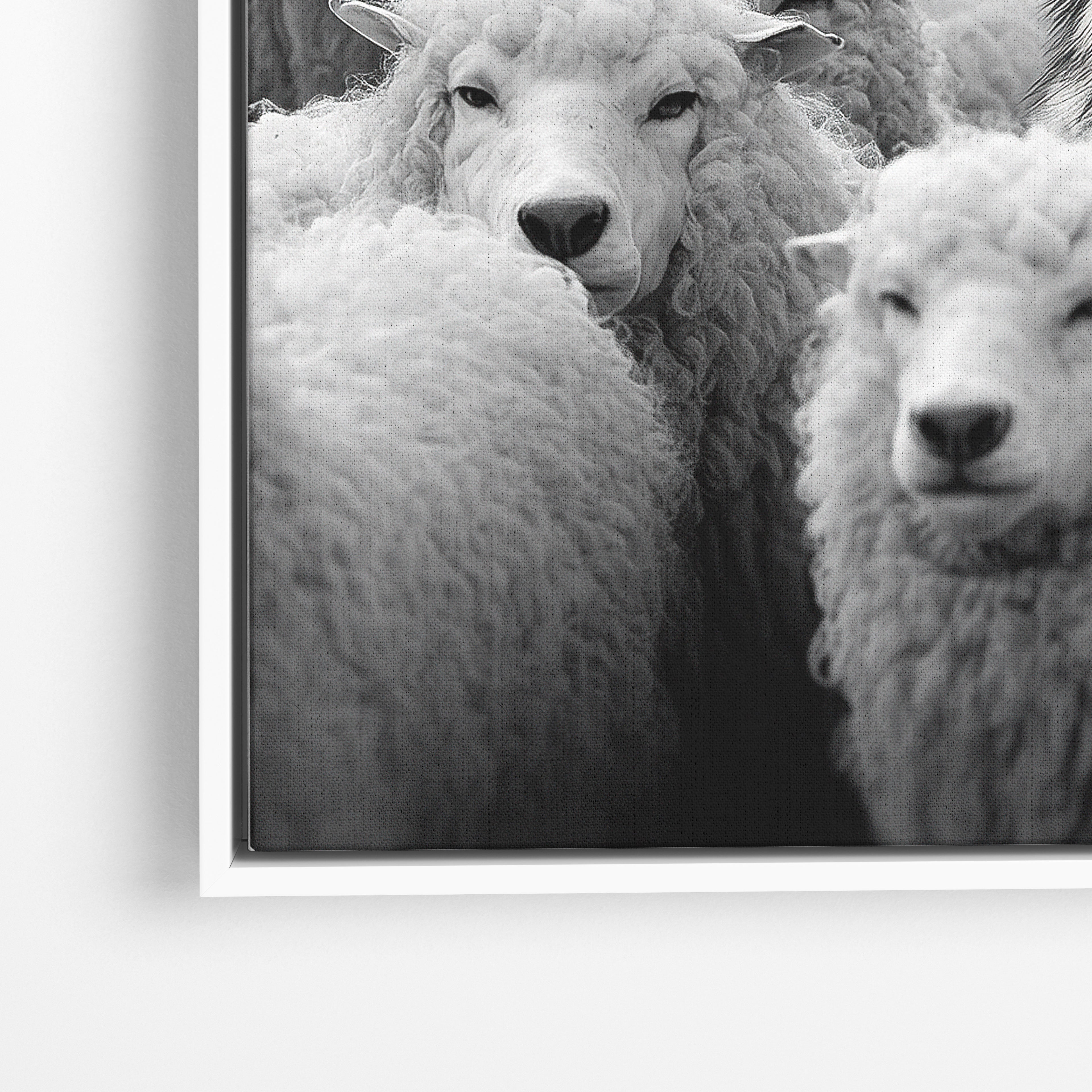 Wolf Among Sheep - Horizontal