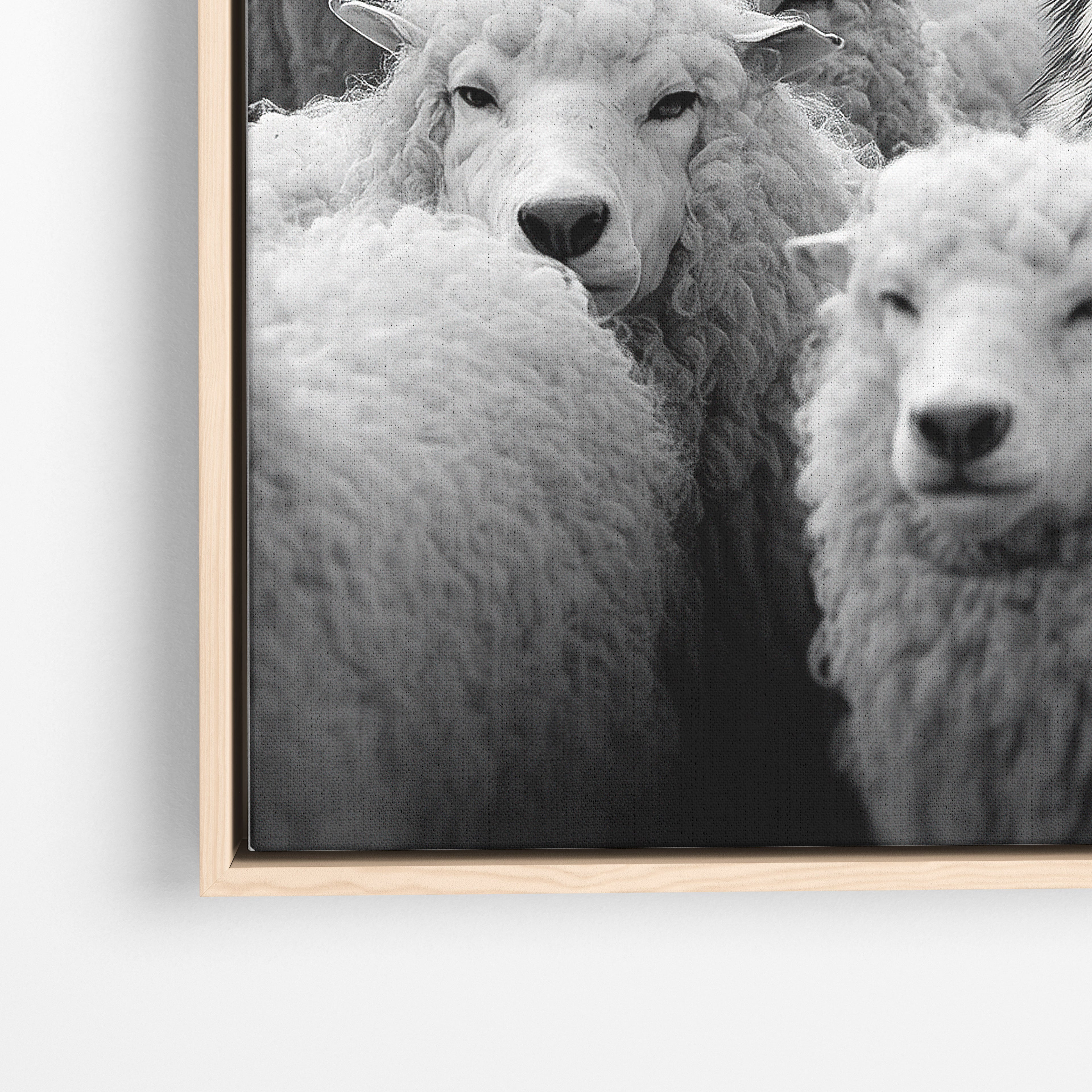 Wolf Among Sheep - Horizontal