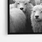 Wolf Among Sheep - Horizontal