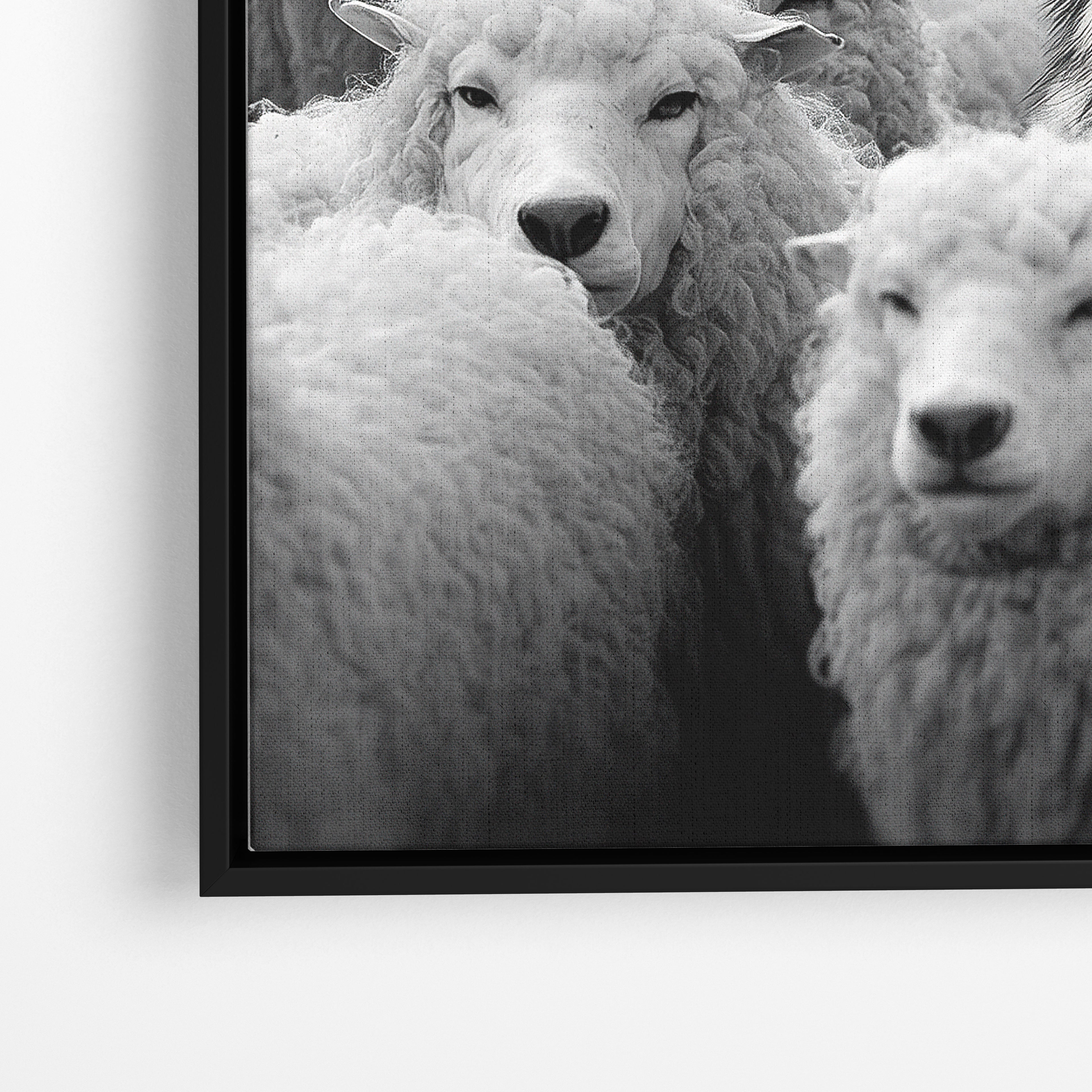 Wolf Among Sheep - Horizontal