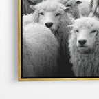 Wolf Among Sheep - Horizontal