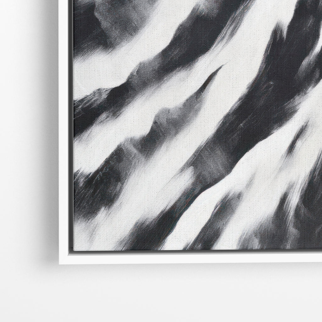 Zebra Stripes