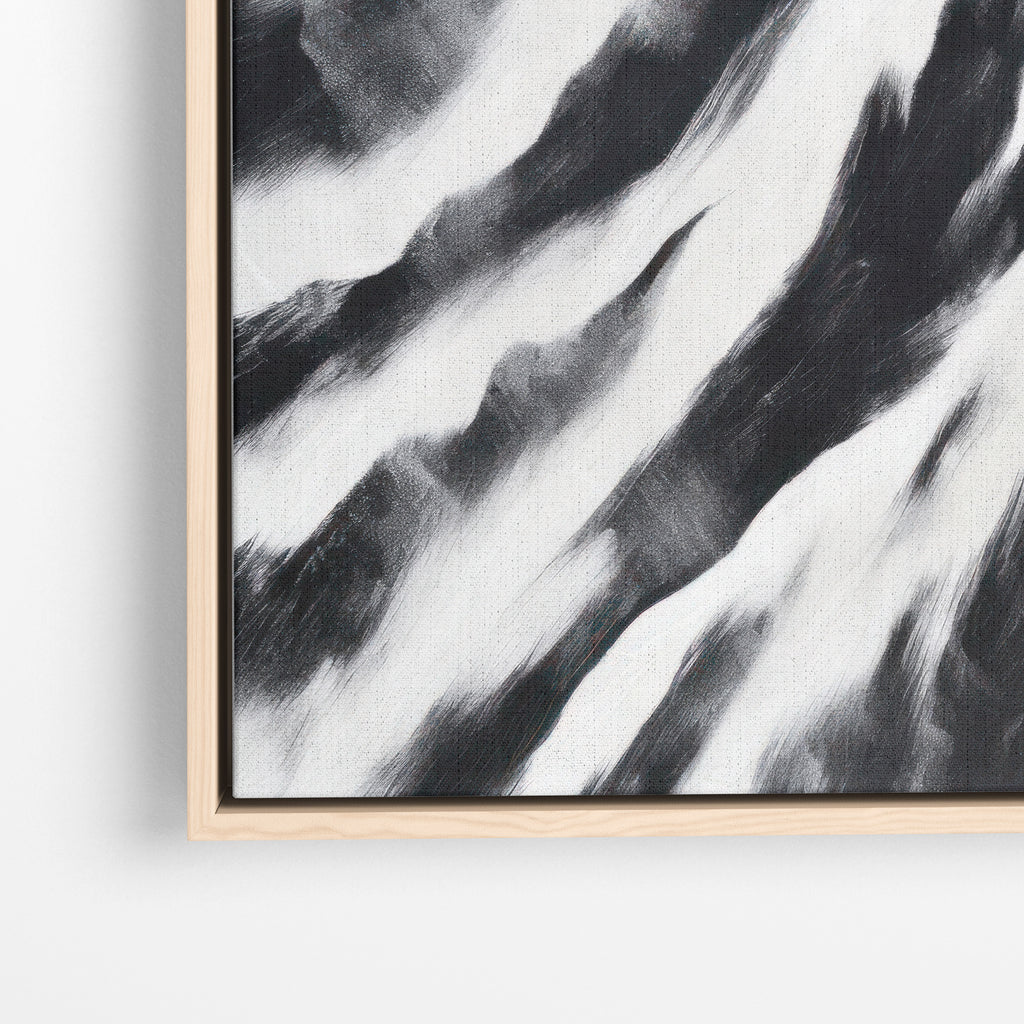 Zebra Stripes