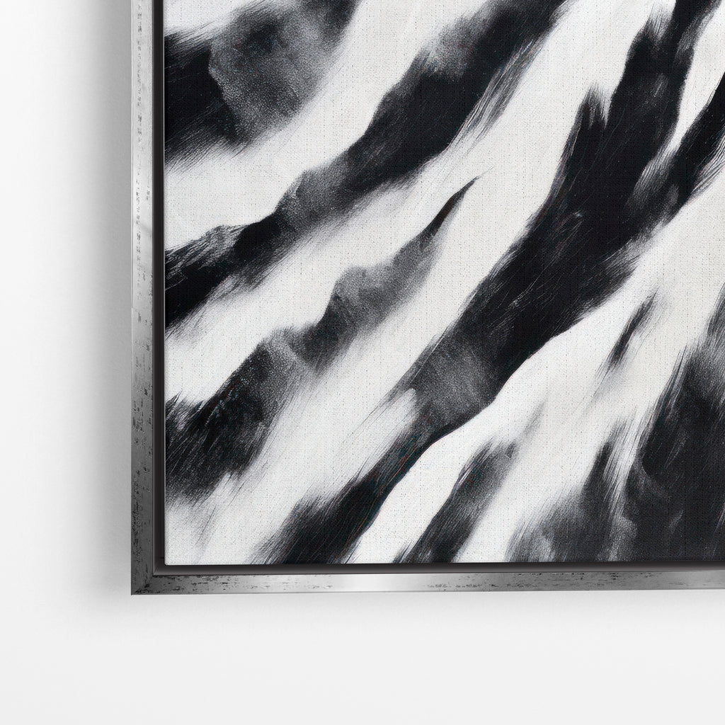 Zebra Stripes