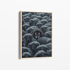 Wolf Among Sheep