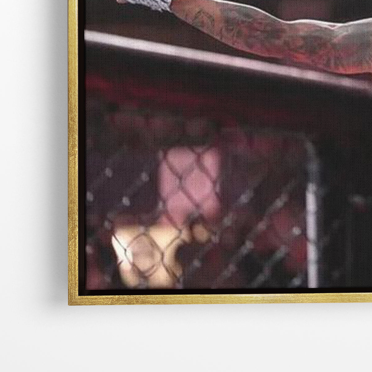 Rise of the Champion – Oliveira