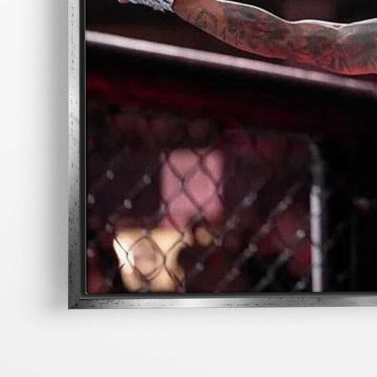 Rise of the Champion – Oliveira