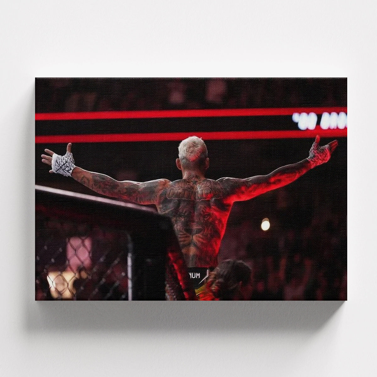 Rise of the Champion – Oliveira