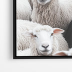 Black Sheep - Horizontal