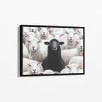 Black Sheep - Horizontal