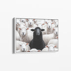 Black Sheep - Horizontal