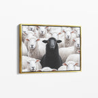 Black Sheep - Horizontal