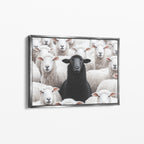 Black Sheep - Horizontal