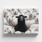 Πίνακας σε καμβά Black Sheep - Horizontal, φωτογραφία προϊόντος 1.