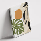 Monstera Sun