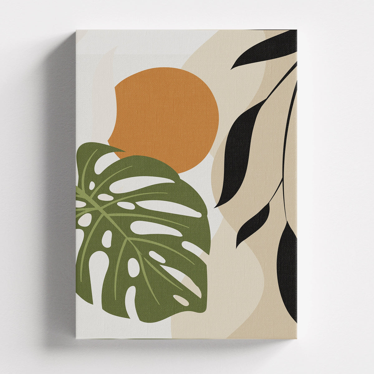 Monstera Sun