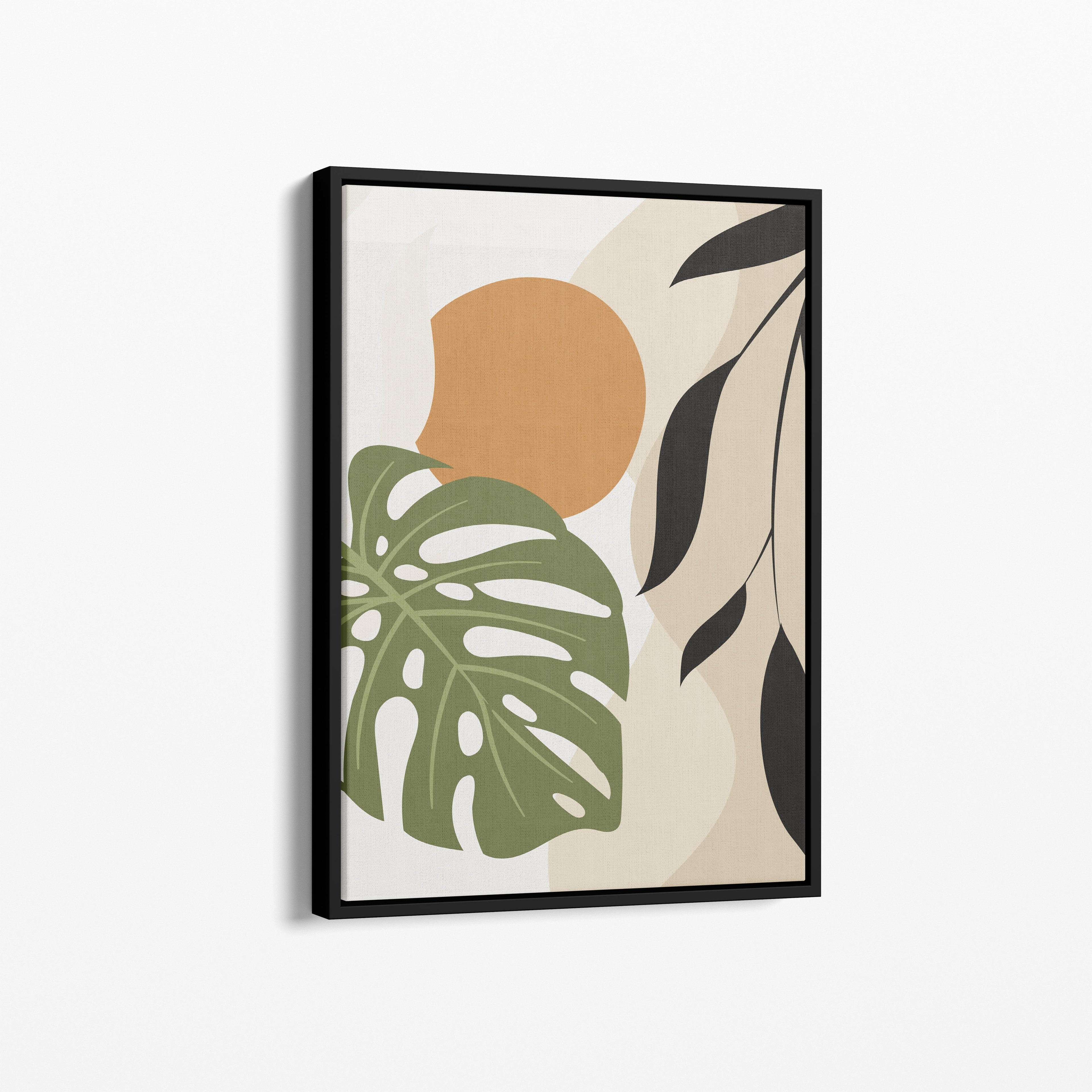 Monstera Sun