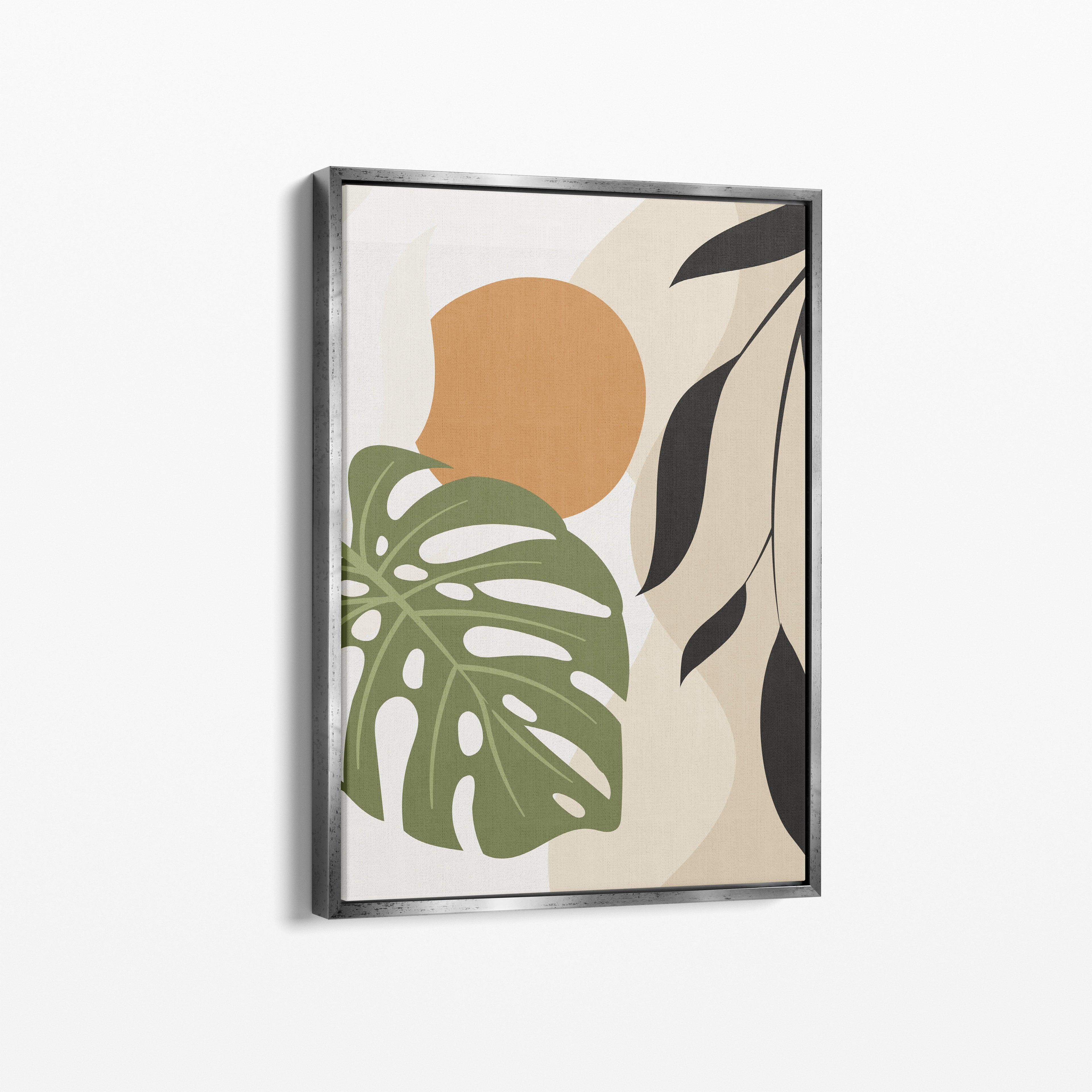 Monstera Sun
