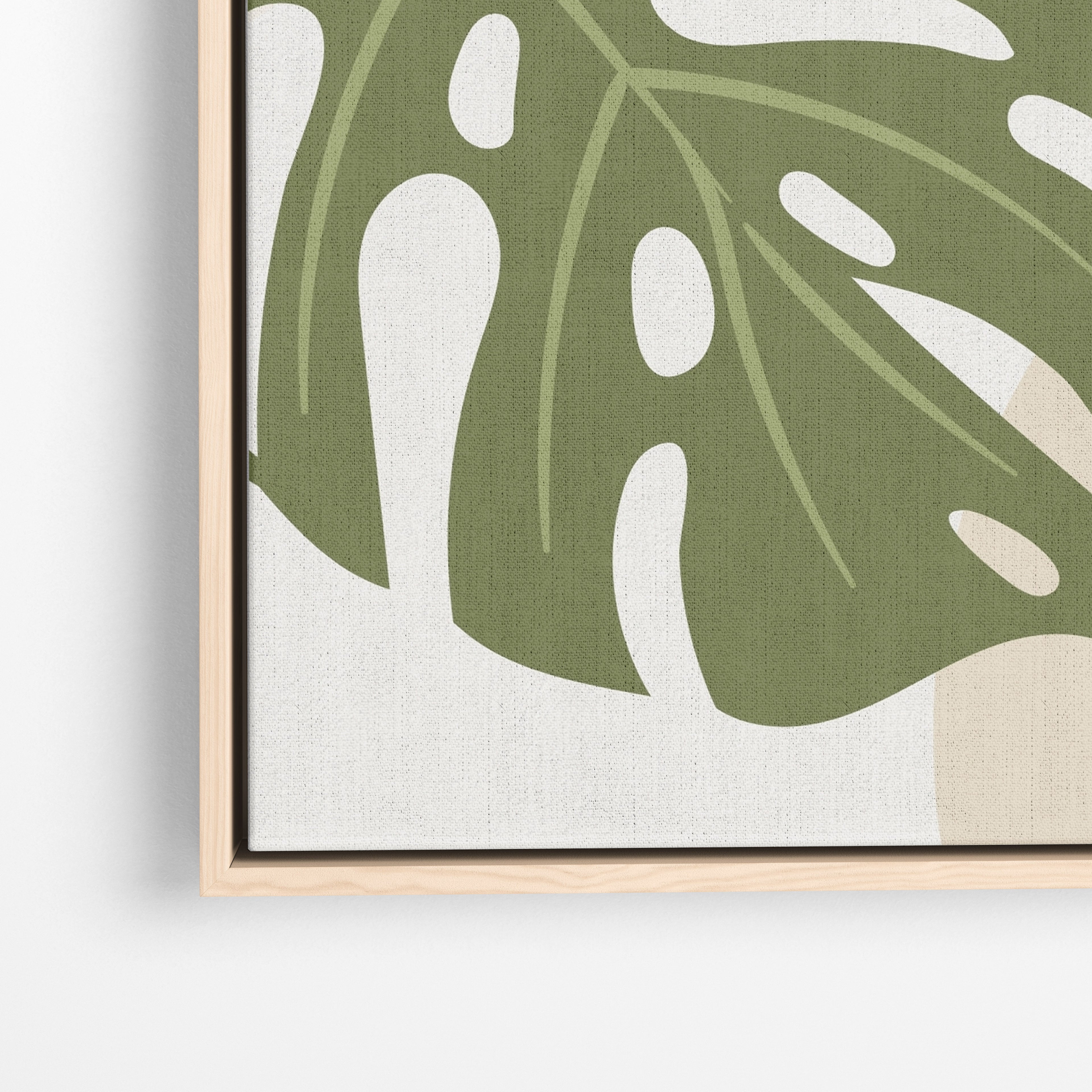 Monstera Sun