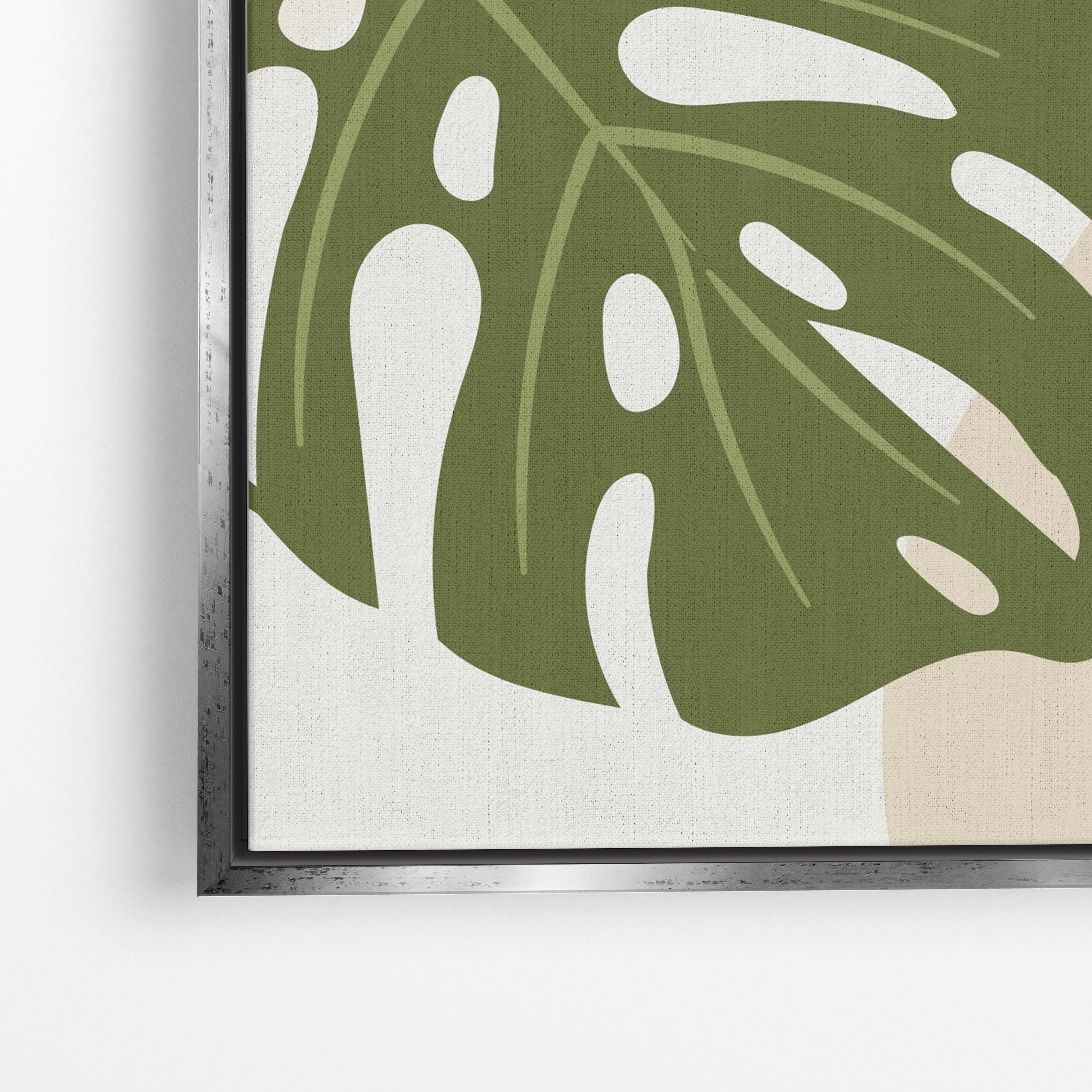 Monstera Sun