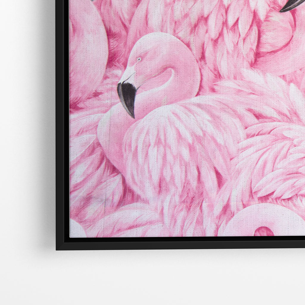 Pink Flamingos