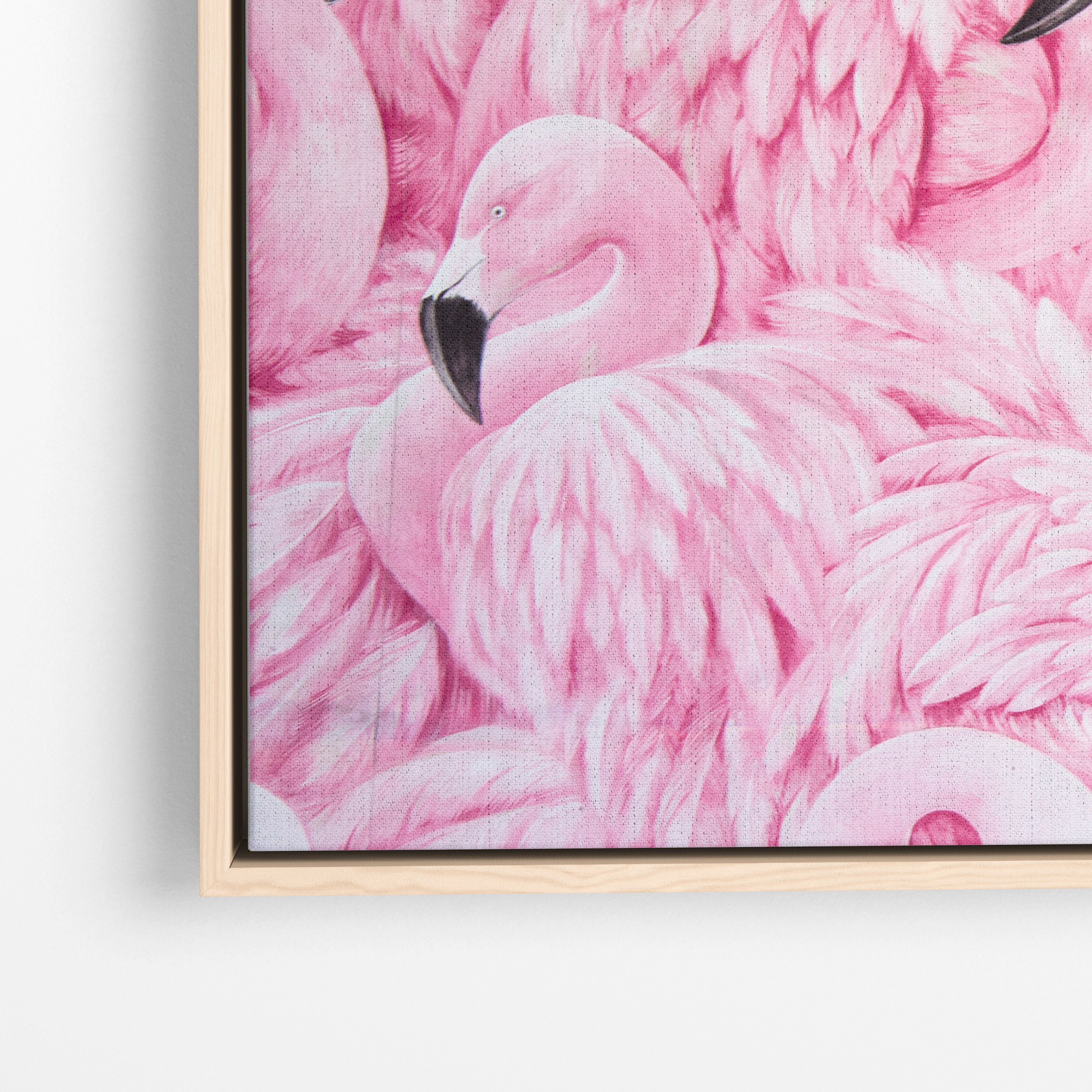 Pink Flamingos