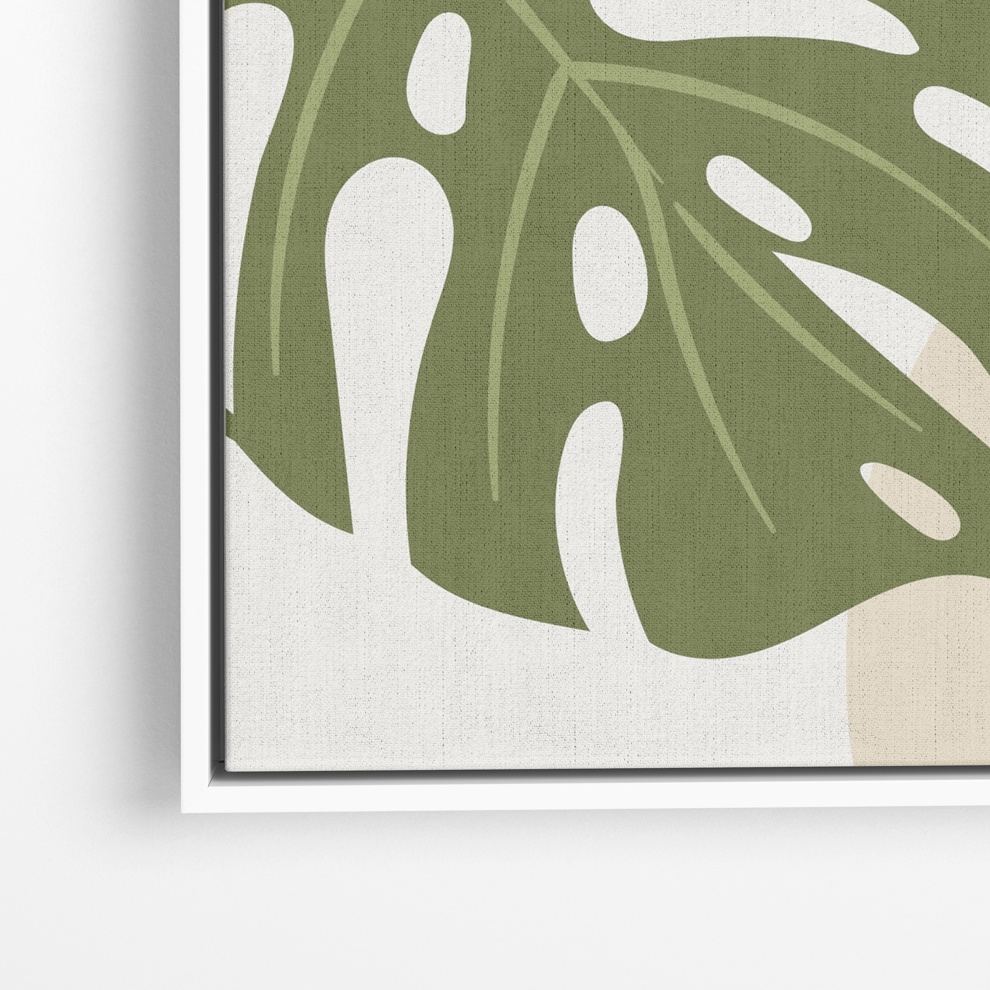 Monstera Sun
