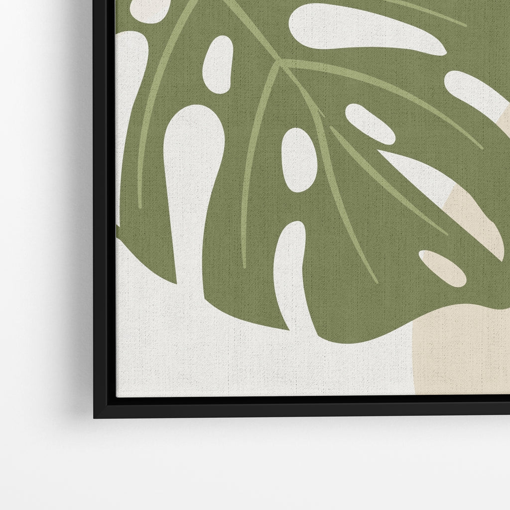 Monstera Sun