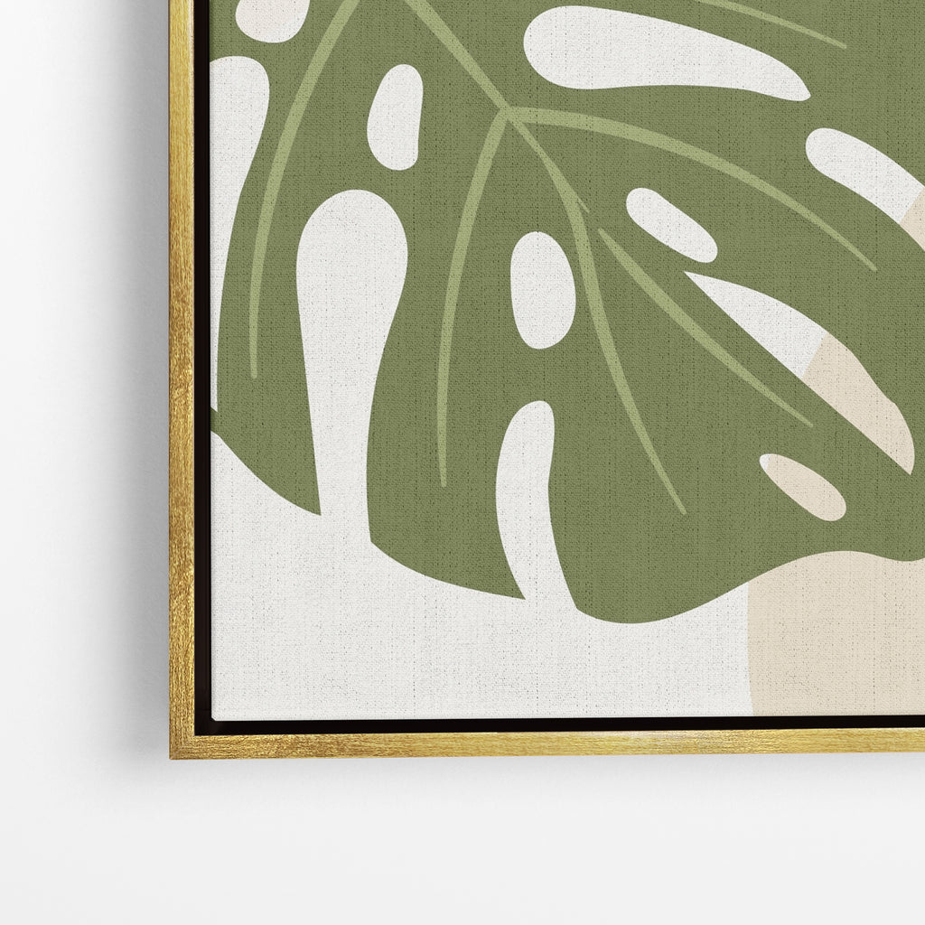 Monstera Sun