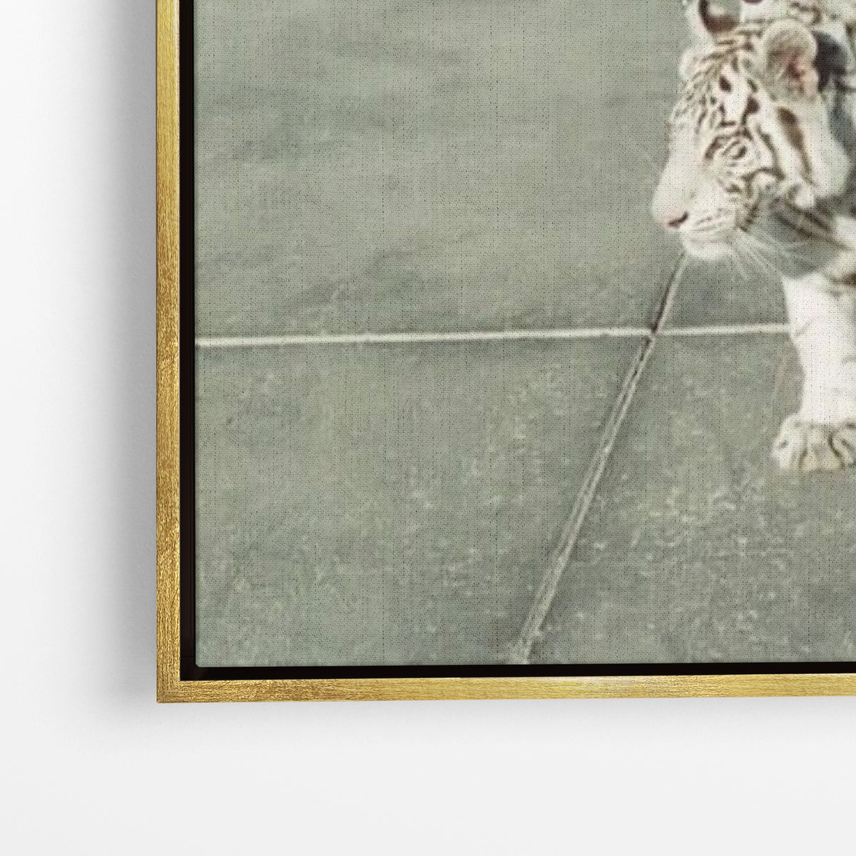 Walk The Tiger - Tyson
