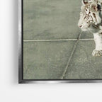 Walk The Tiger - Tyson