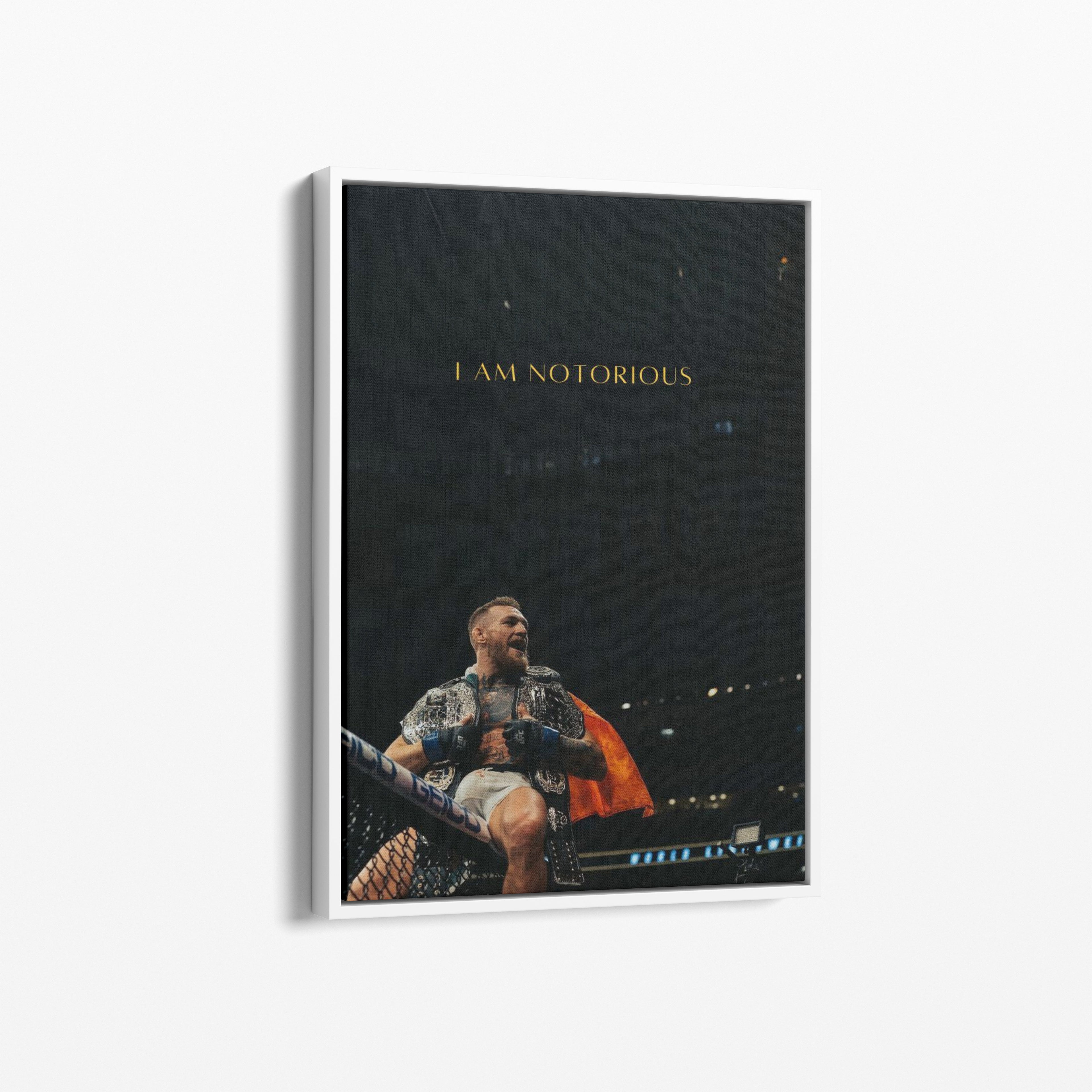 The Notorious