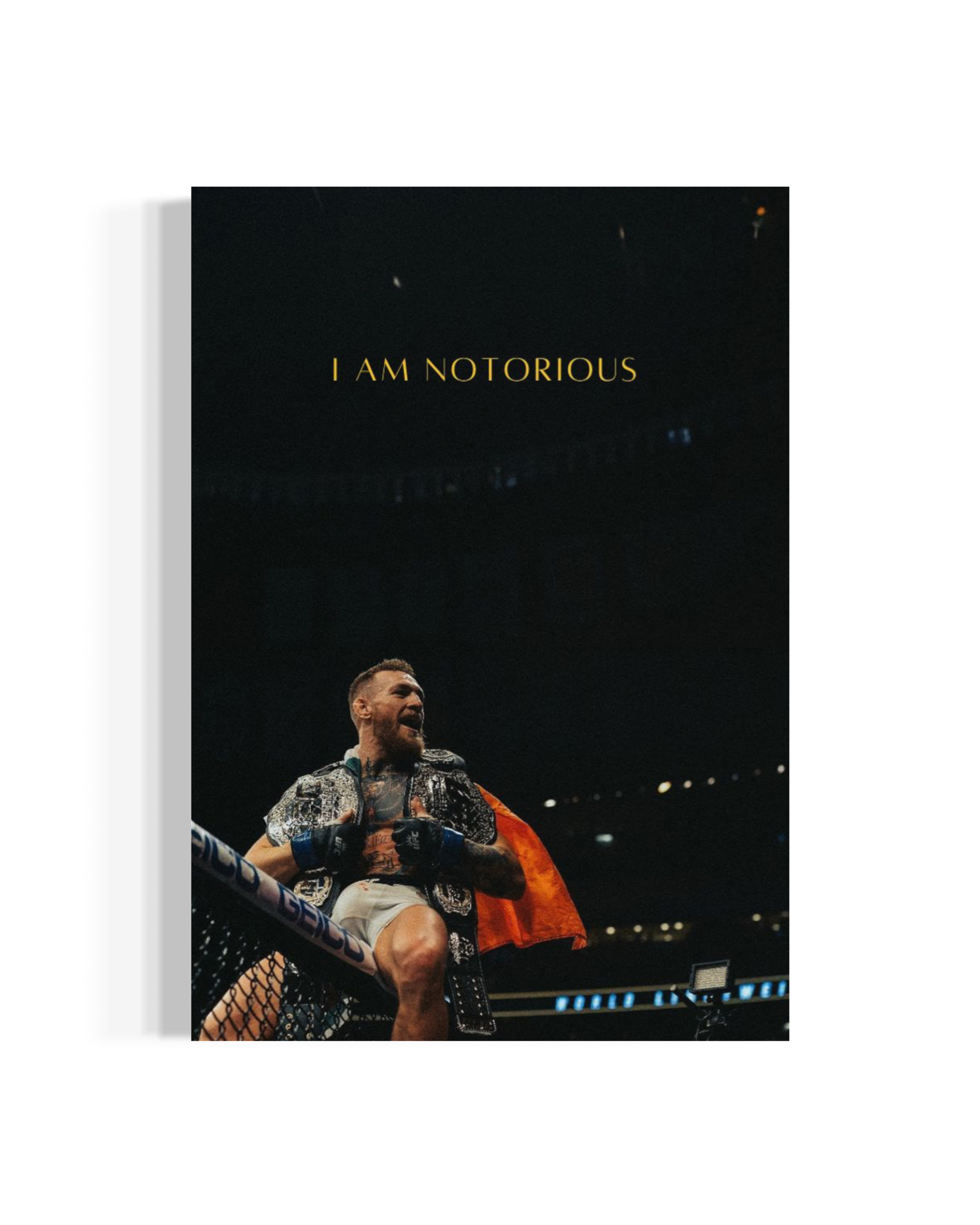 The Notorious