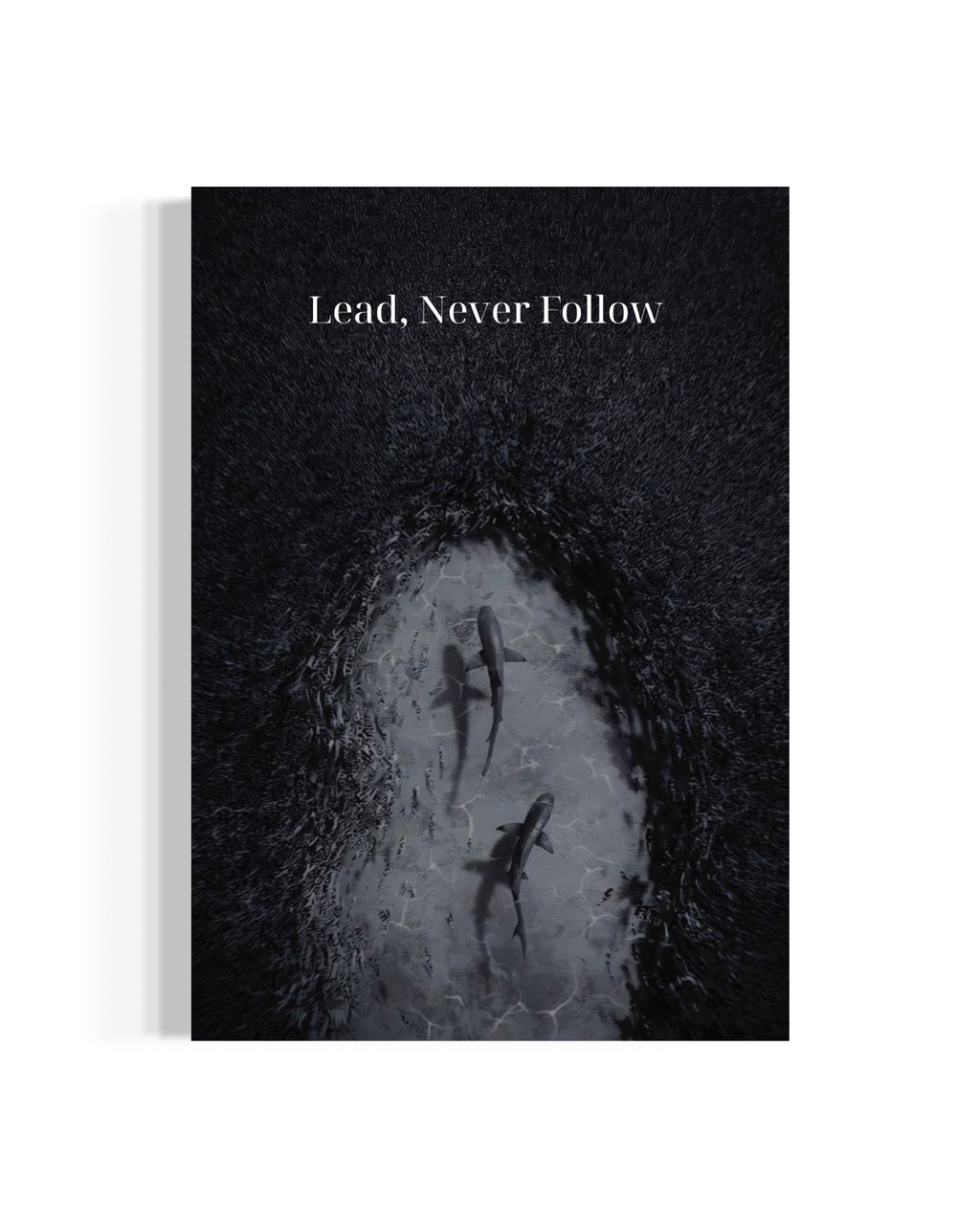 Lead, Never Follow