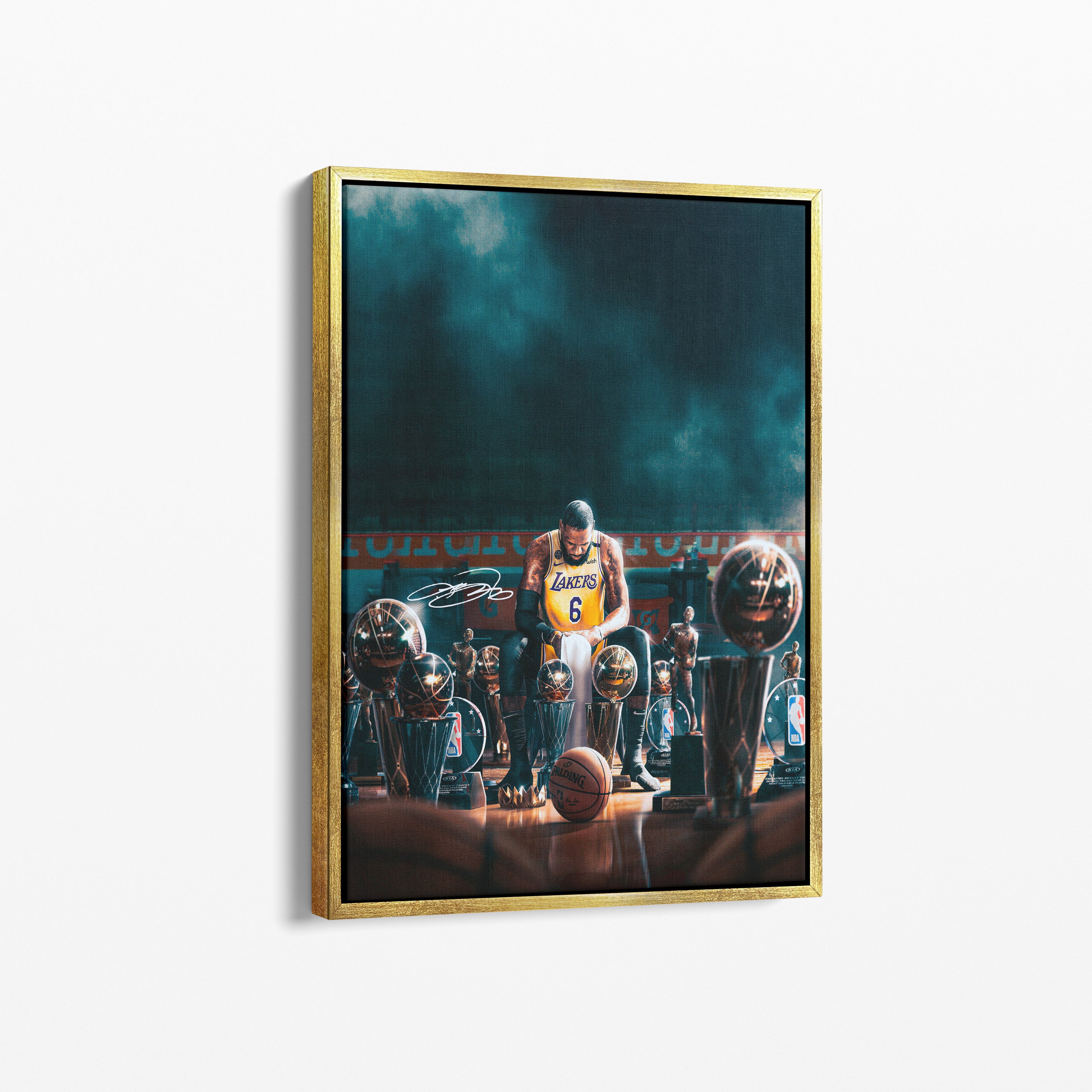 LeBron James - Trophies