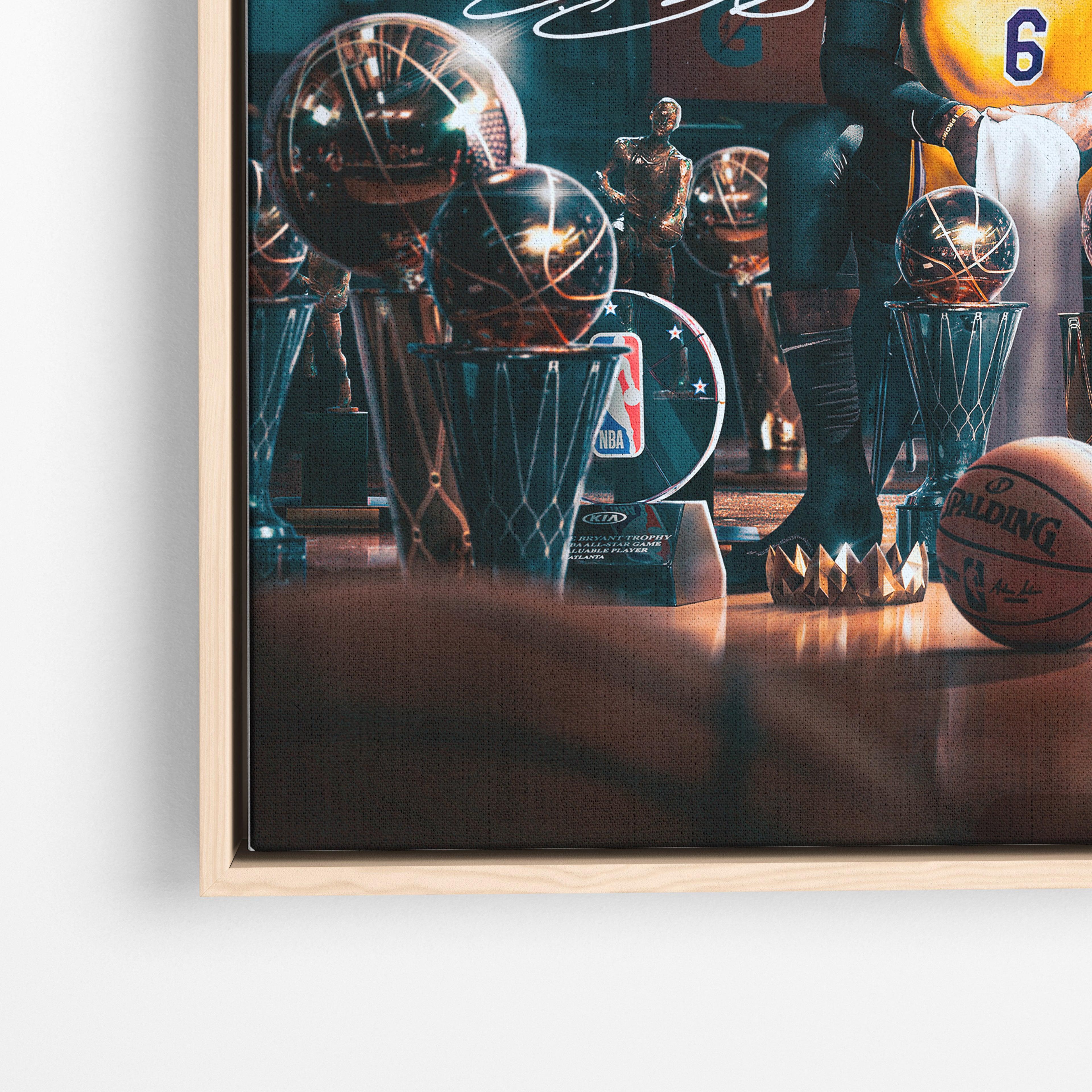 LeBron James - Trophies