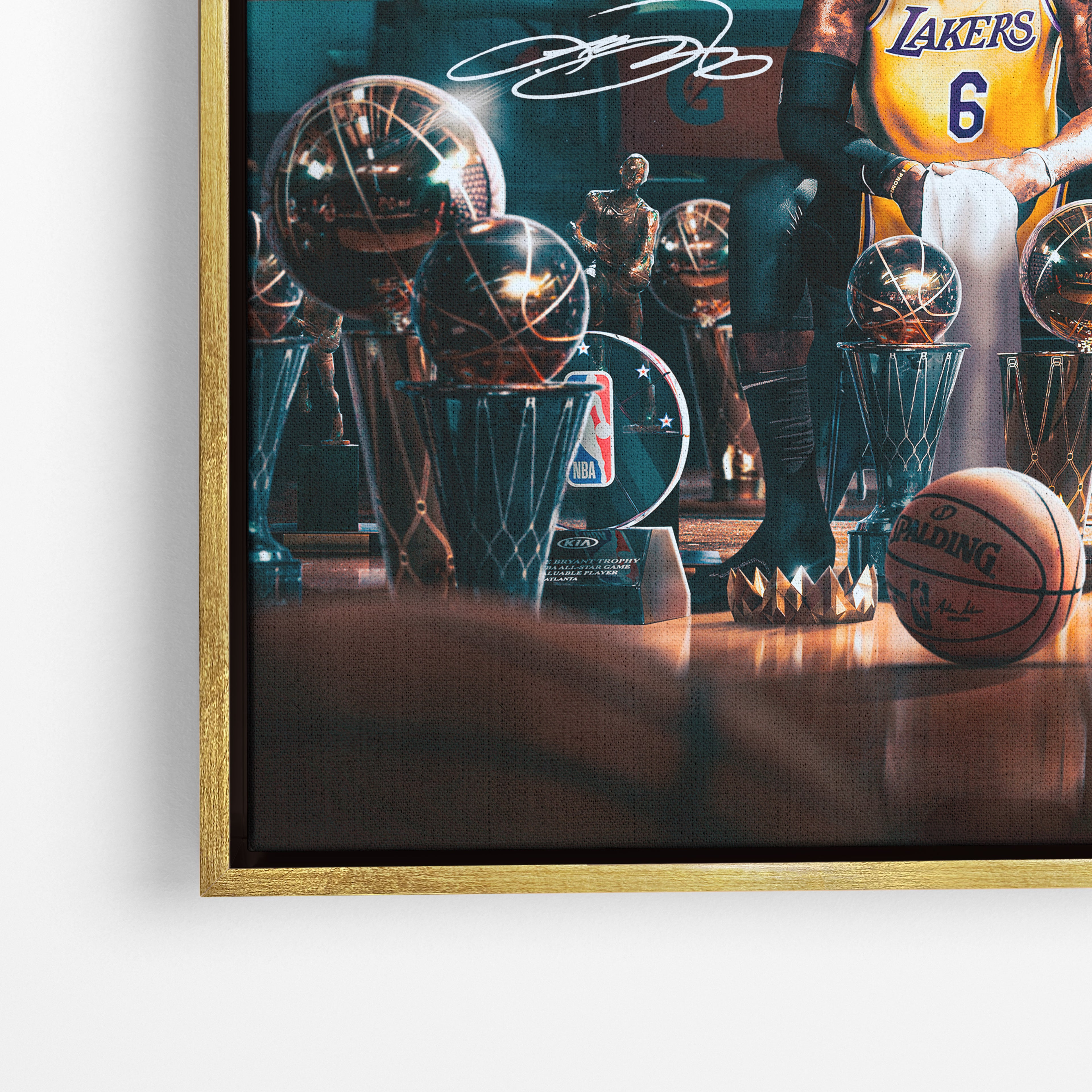 LeBron James - Trophies