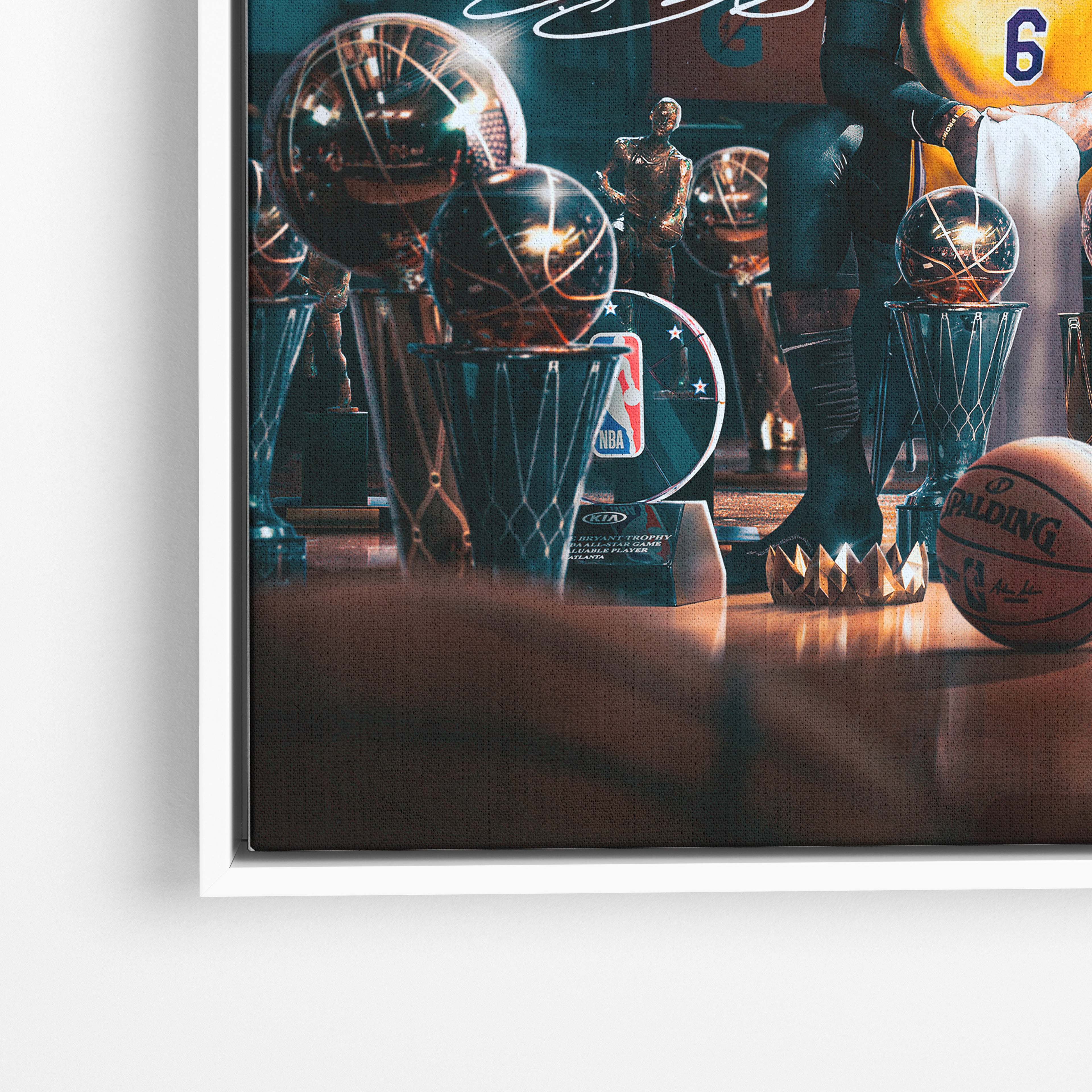 LeBron James - Trophies