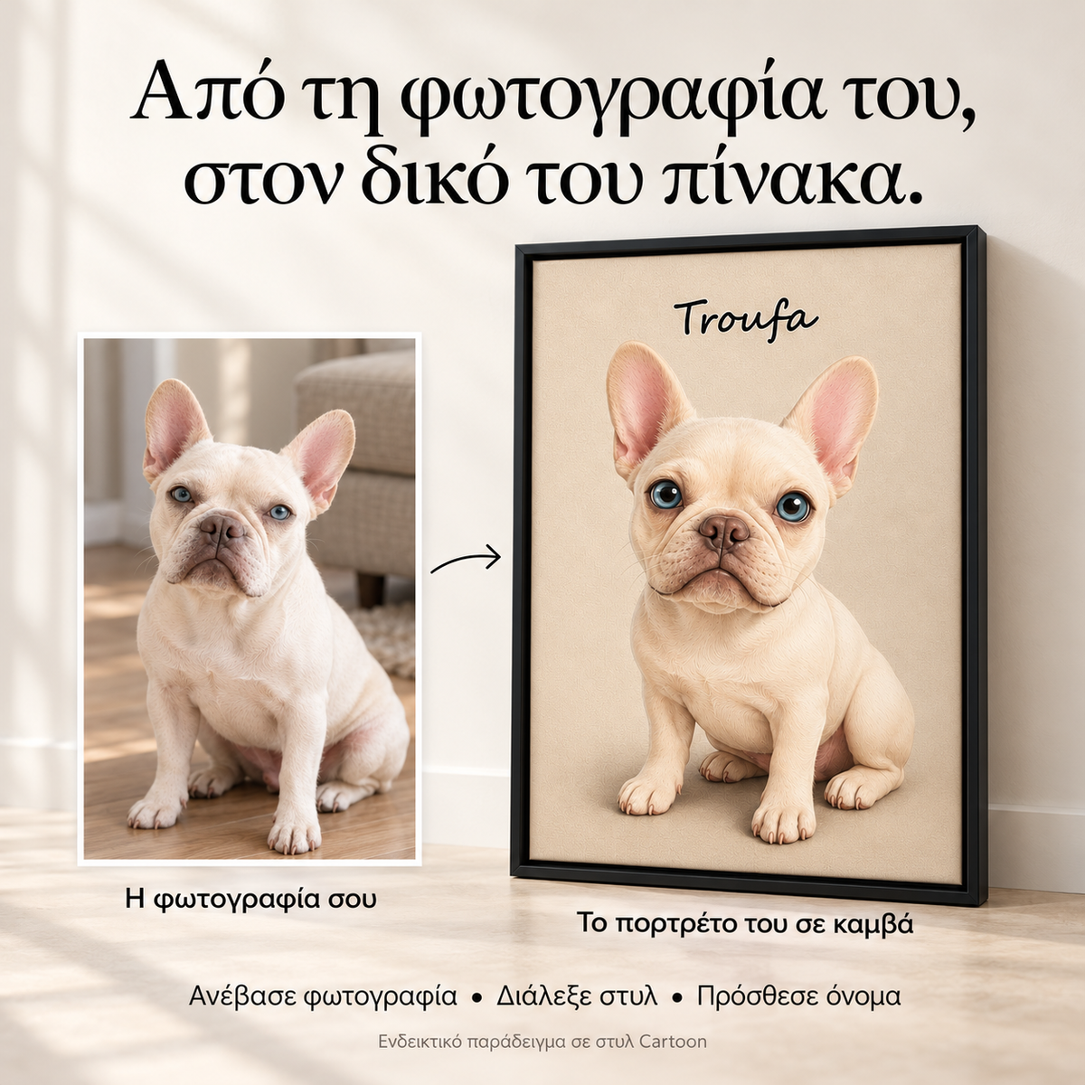 Pet Portrait