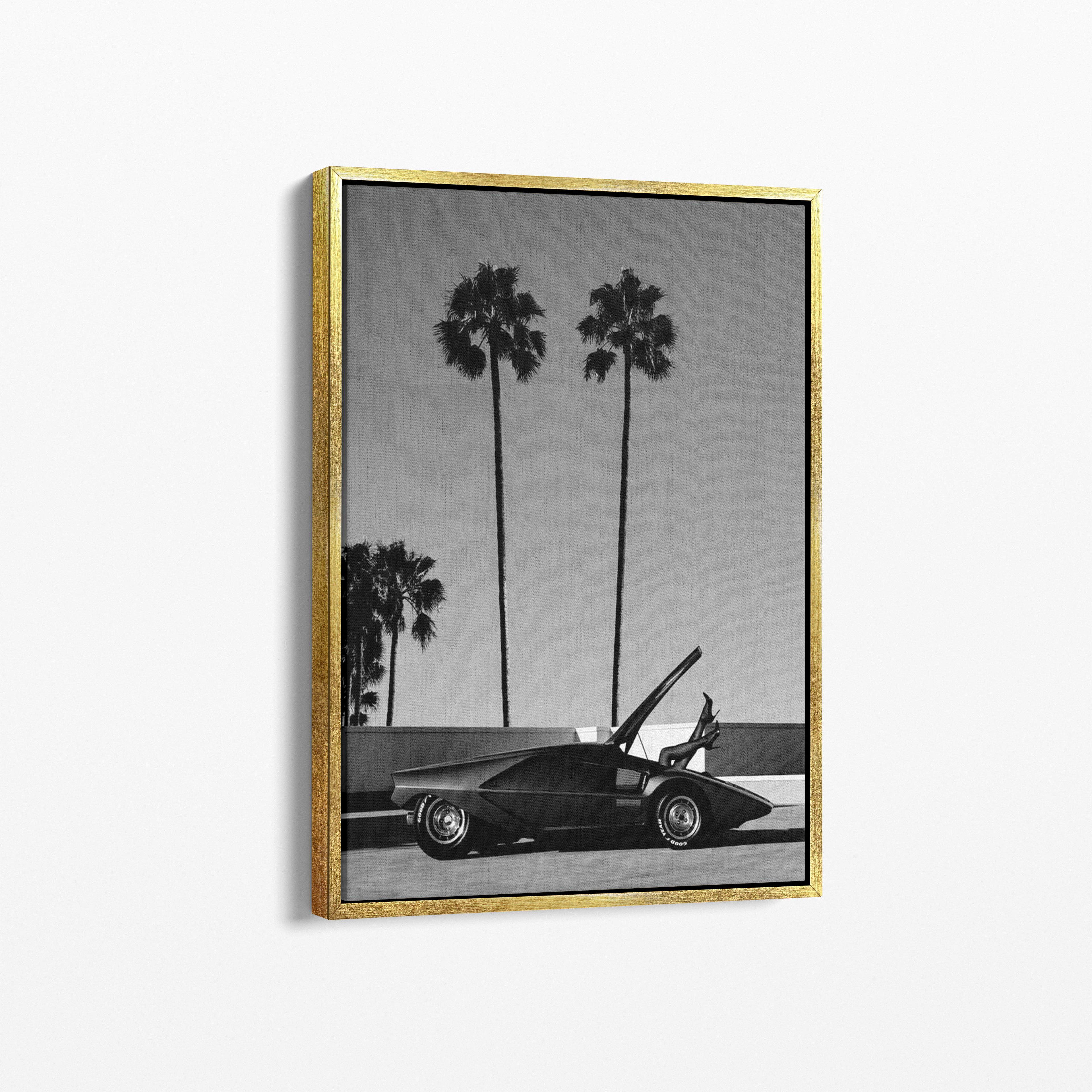 Palm Dreams