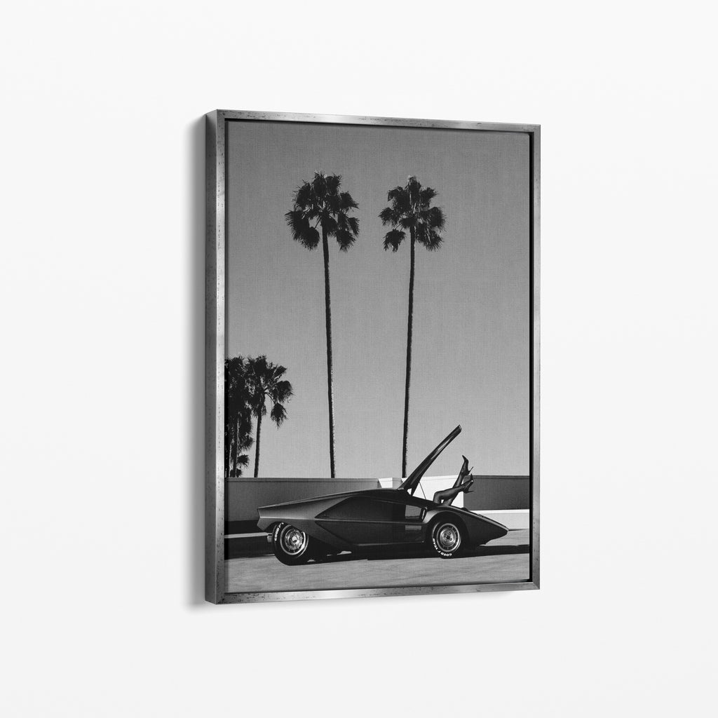 Palm Dreams