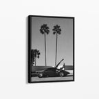 Palm Dreams