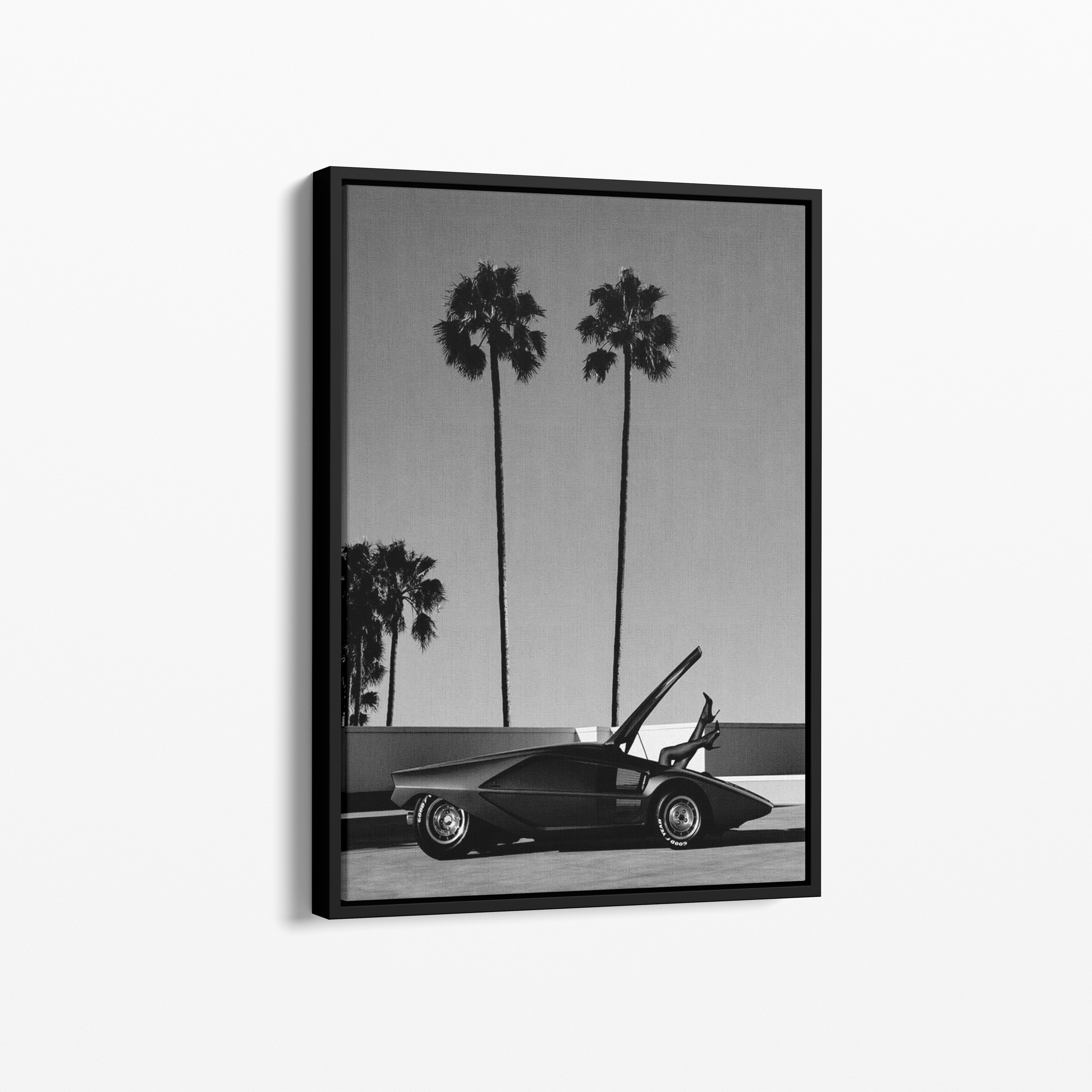 Palm Dreams