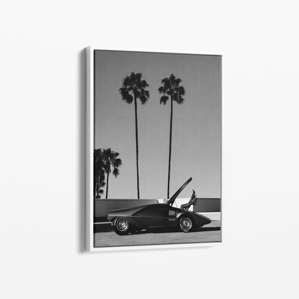 Palm Dreams